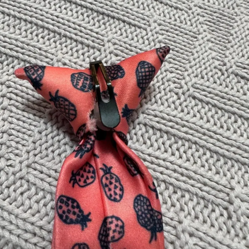 Pineapple salmon pink clip on kids tie